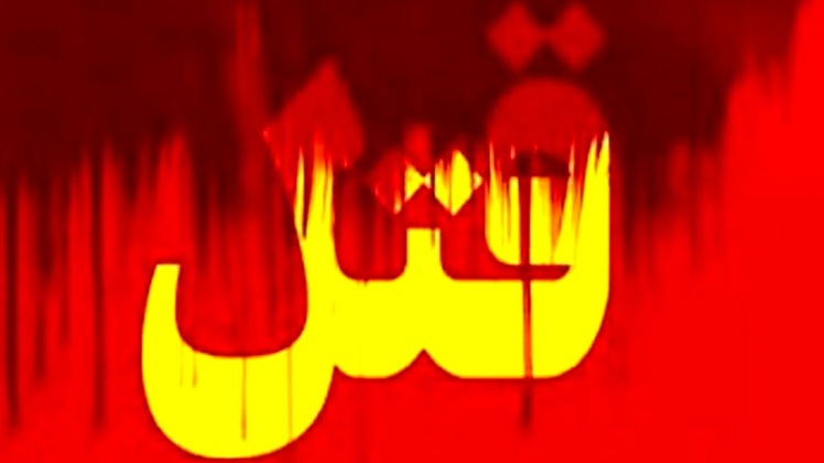 راز جنایت شبانه در قلعهنو فاش شد