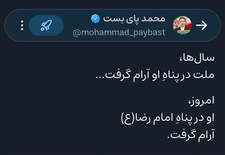 در پناه امام رضا آرام گرفت